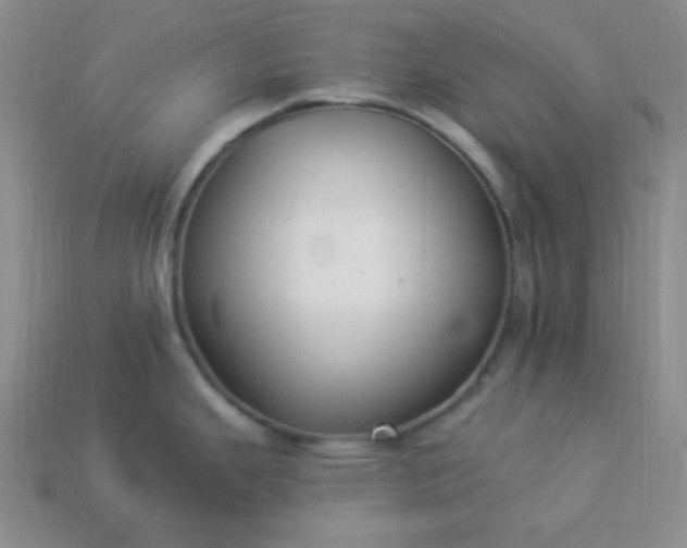 X0000113961343200910091621