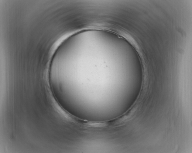 X0000113961344200910091621