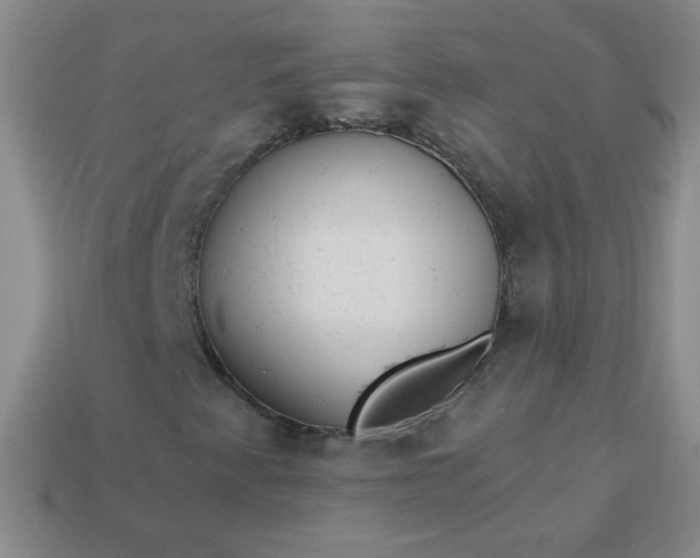 X0000113961345200910091621