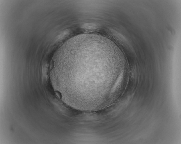 X0000113961346200910091621