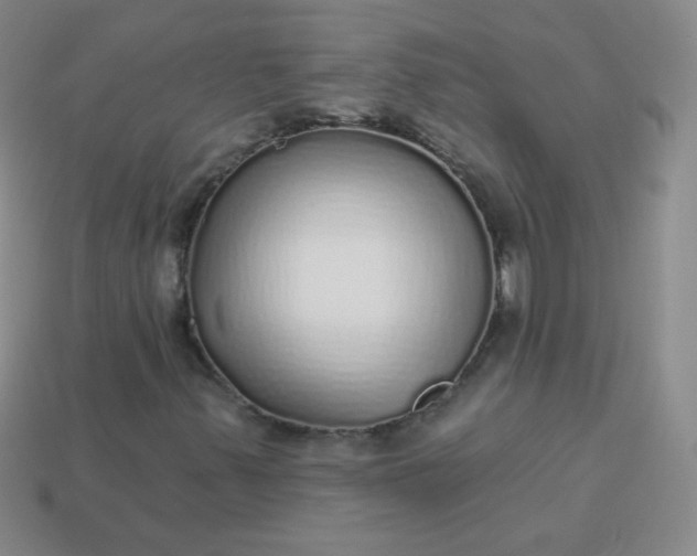 X0000113961347200910091621