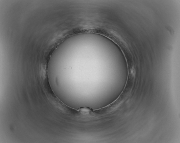 X0000113961348200910091621