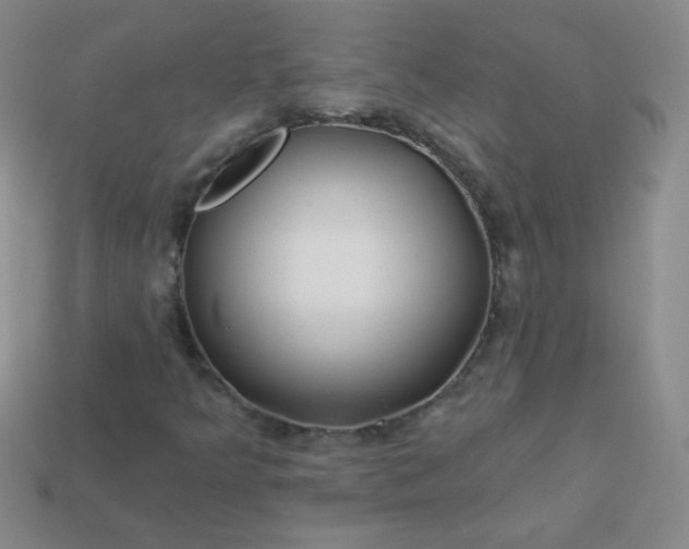 X0000113961349200910091621