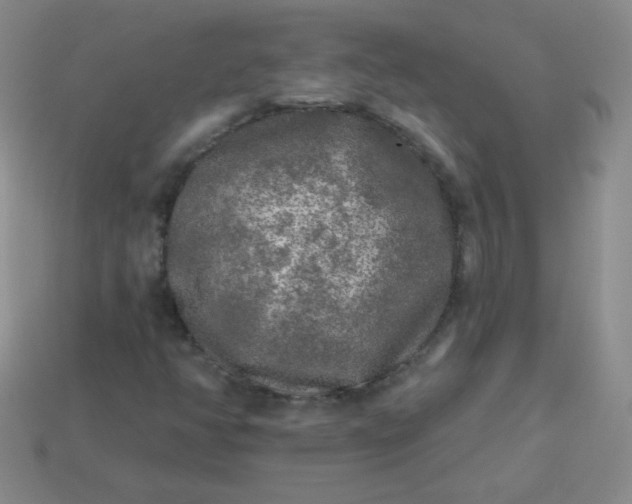 X0000113961350200910091621