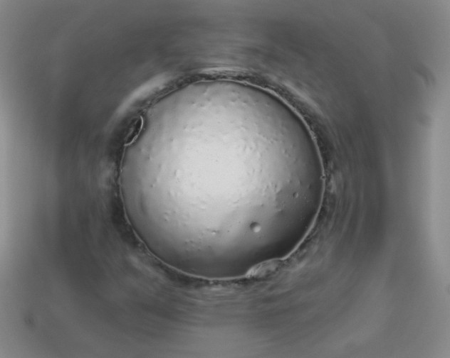 X0000113961351200910091621