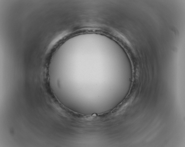 X0000113961352200910091621