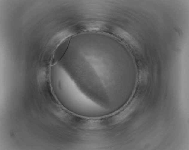 X0000113961353200910091621