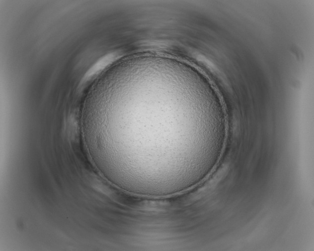 X0000113961354200910091621