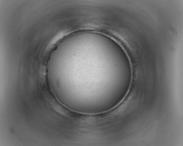 X0000113961355200910091621