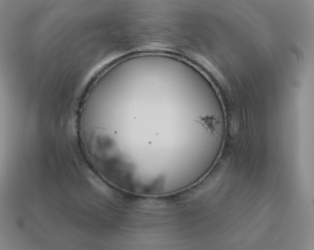 X0000113961356200910091621