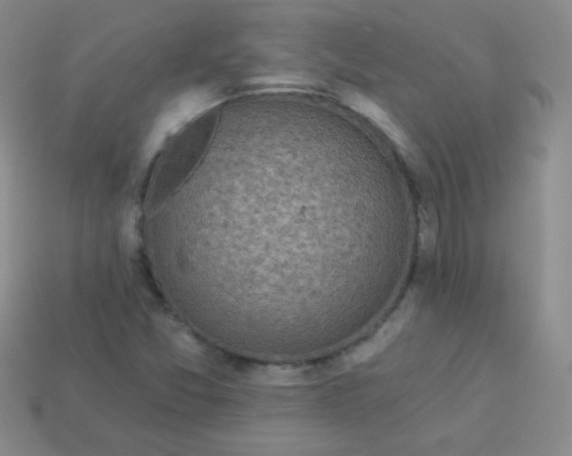 X0000113961357200910091621