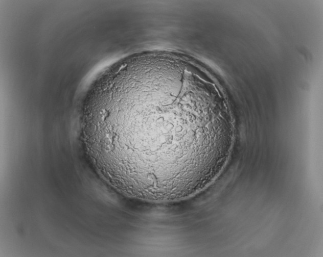 X0000113961359200910091621