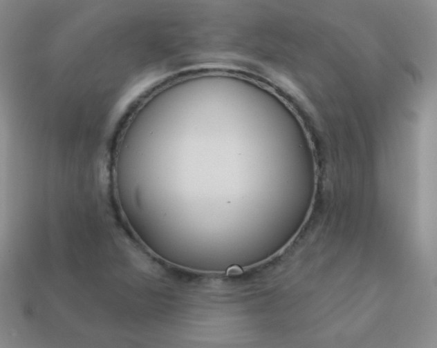 X0000113961360200910091621