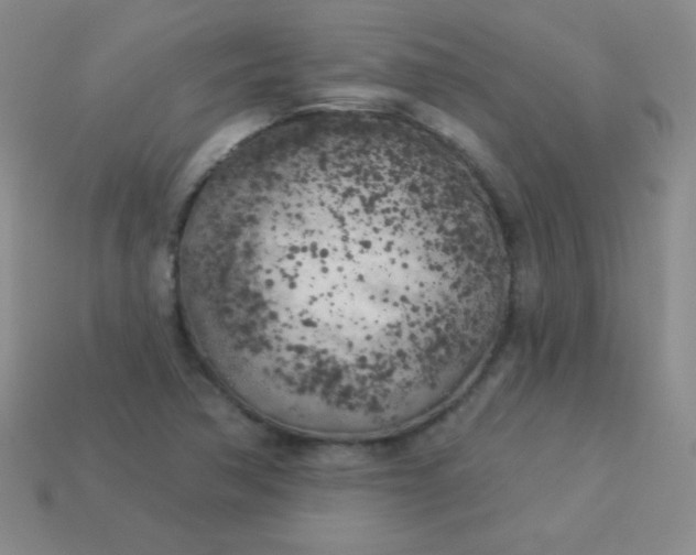 X0000113961362200910091620