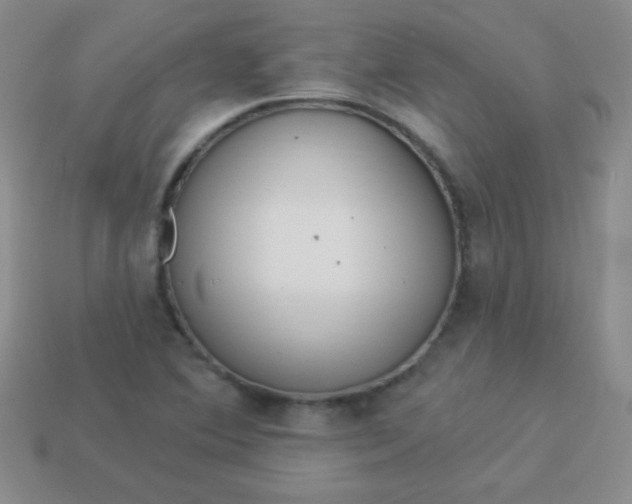 X0000113961364200910091620