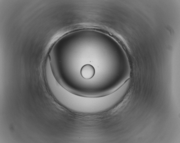 X0000113961365200910091620