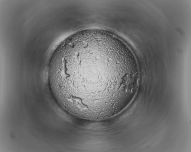 X0000113961367200910091620