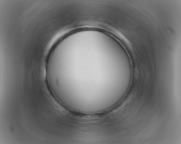 X0000113961368200910091620