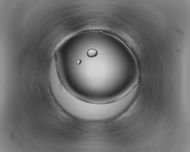 X0000113961369200910091620