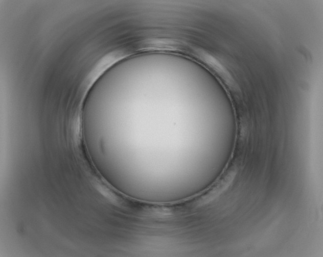 X0000113961370200910091620