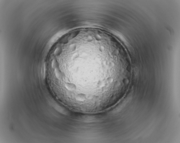 X0000113961371200910091620