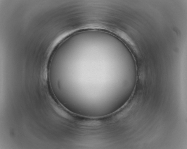 X0000113961372200910091620