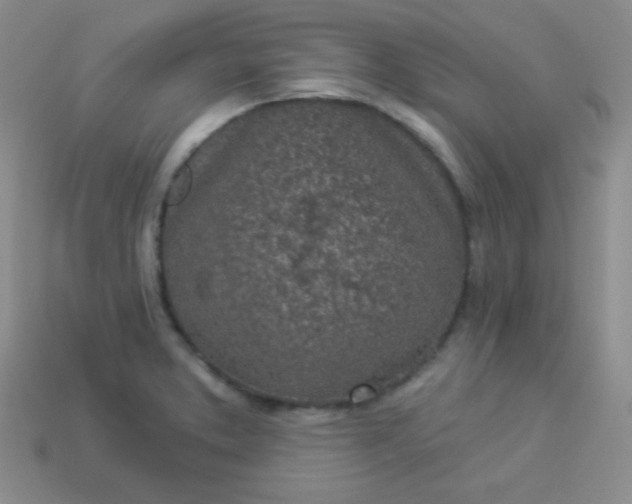 X0000113961373200910091620