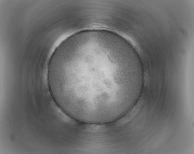 X0000113961374200910091620