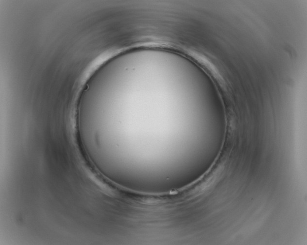 X0000113961375200910091620