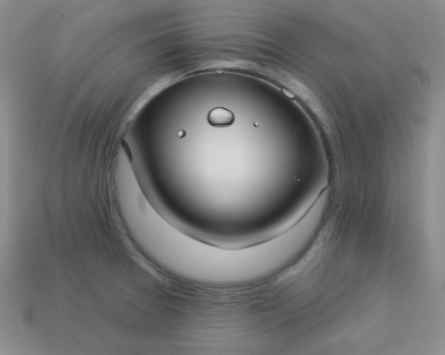 X0000113961377200910091620