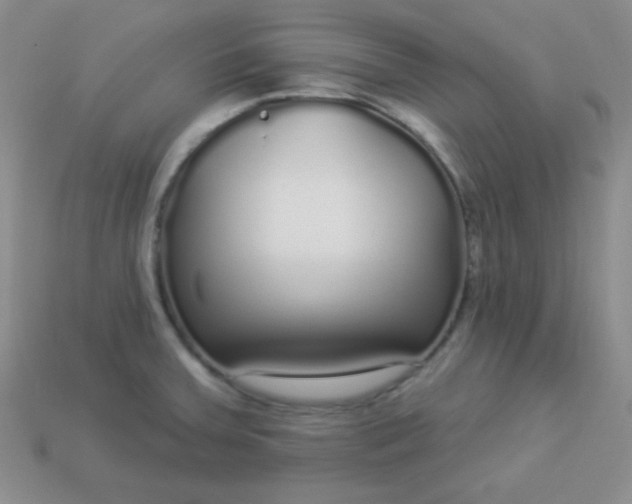 X0000113961379200910091620