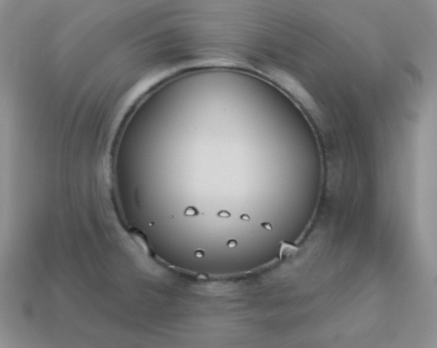 X0000113961380200910091620