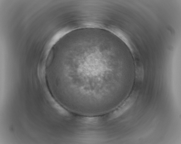 X0000113961381200910091620