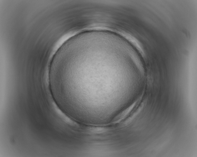 X0000113961382200910091620