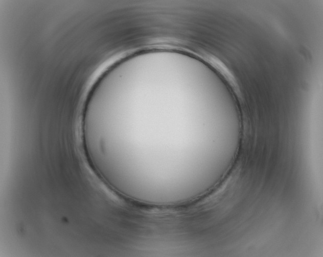 X0000113961384200910091620