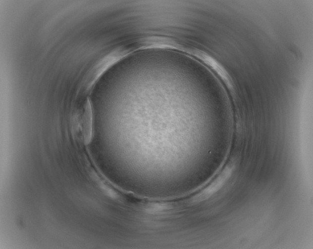 X0000113961385200910091620