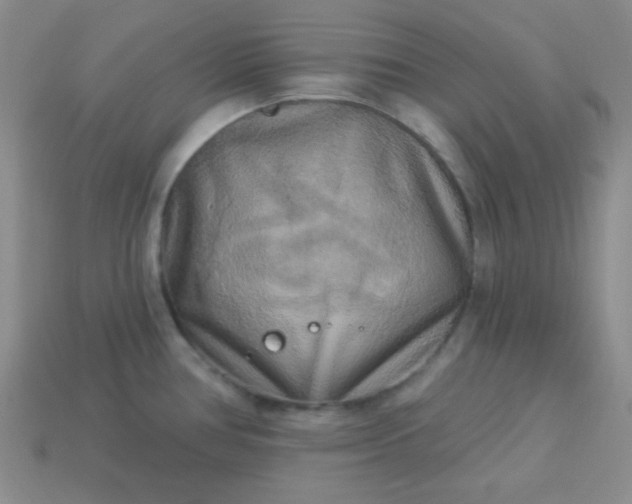 X0000113961386200910091620