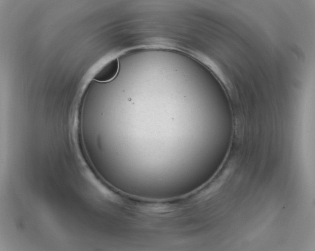 X0000113961387200910091620