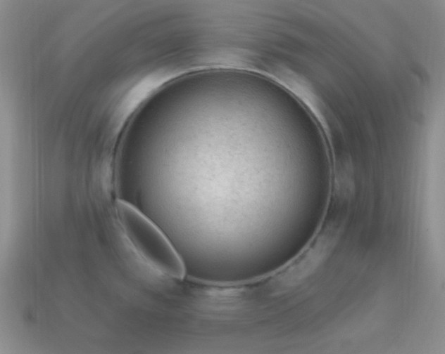 X0000113961389200910091620