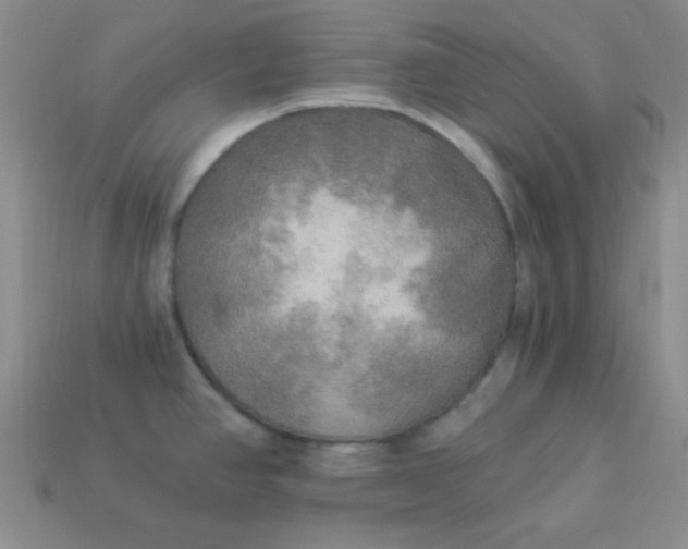 X0000113961390200910091620