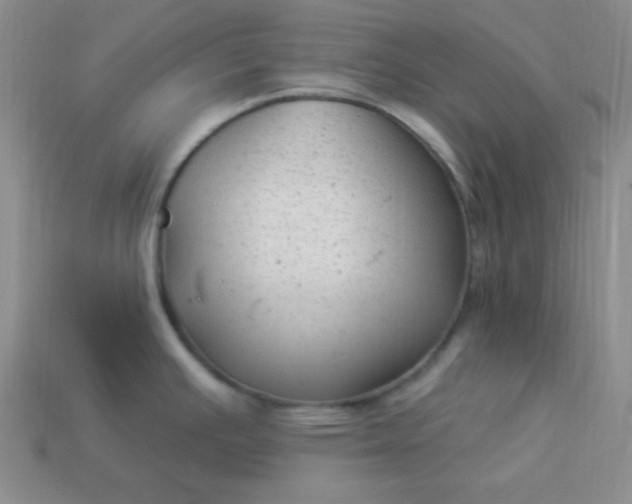 X0000113961391200910091620