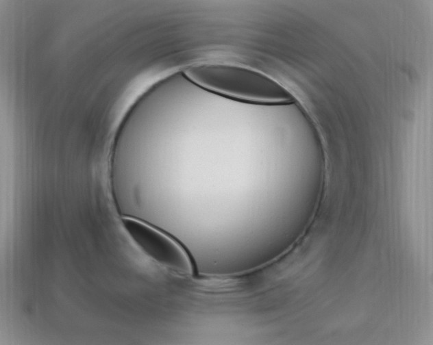 X0000113961392200910091620