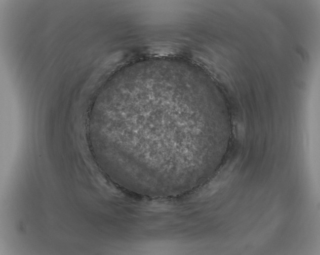 X0000113961393200910091619