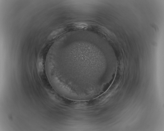 X0000113961394200910091619