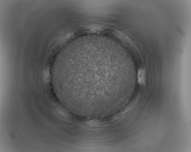 X0000113961395200910091620