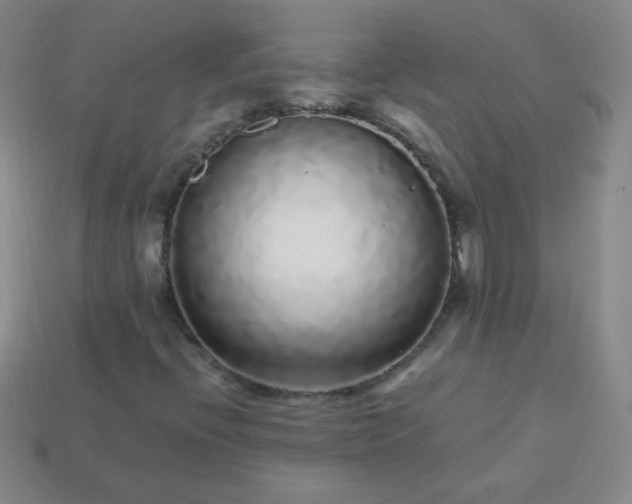 X0000113961396200910091620