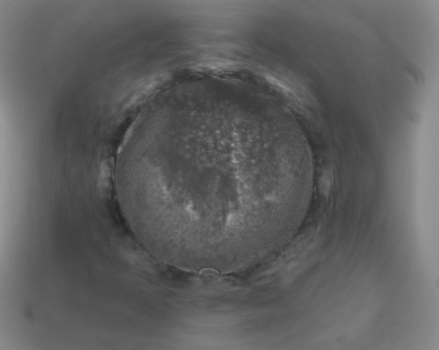 X0000113961397200910091620