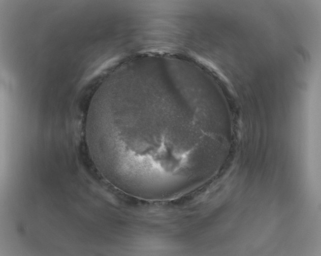 X0000113961399200910091620