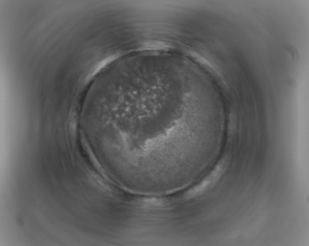 X0000113961401200910091620