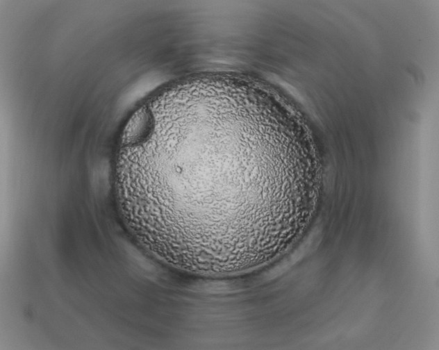 X0000113961402200910091620